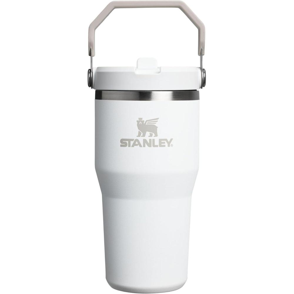 imageStanley IceFlow Flip Straw Tumbler with Handle 20 oz  Twist On Lid and Flip Up Straw  Leak Resistant Water Bottle  Insulated Stainless Steel BPAFree  CharcoalFrost