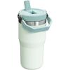 Stanley IceFlow Flip Straw Tumbler with Handle 20 oz | Twist On Lid and Flip Up Straw | Leak Resistant Water Bottle | Insulated Stainless Steel |BPA-Free | Charcoal(Mist)