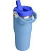 Stanley IceFlow Flip Straw Tumbler with Handle 20 oz | Twist On Lid and Flip Up Straw | Leak Resistant Water Bottle | Insulated Stainless Steel |BPA-Free | Charcoal(Blue Sky)