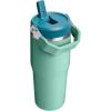 Stanley IceFlow Flip Straw Tumbler with Handle 20 oz | Twist On Lid and Flip Up Straw | Leak Resistant Water Bottle | Insulated Stainless Steel |BPA-Free | Charcoal(Spring Green)