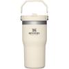 Stanley IceFlow Flip Straw Tumbler with Handle 20 oz | Twist On Lid and Flip Up Straw | Leak Resistant Water Bottle | Insulated Stainless Steel |BPA-Free | Charcoal(Cream)
