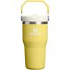 Stanley IceFlow Flip Straw Tumbler with Handle 20 oz | Twist On Lid and Flip Up Straw | Leak Resistant Water Bottle | Insulated Stainless Steel |BPA-Free | Charcoal(Daffodil)