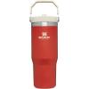 Stanley IceFlow Flip Straw Tumbler with Handle 20 oz | Twist On Lid and Flip Up Straw | Leak Resistant Water Bottle | Insulated Stainless Steel |BPA-Free | Charcoal(Carnelian)