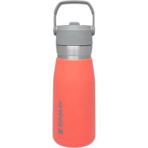 STANLEY IceFlow Flip Straw Water Bottle 22 oz | Built-In Straw for Travel and Sports | Lightweight and Leak Resistant | Insulated Stainless Steel | BPA-Free | Polar(Guava)