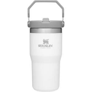 Stanley IceFlow Flip Straw Tumbler with Handle 20 oz | Twist On Lid and Flip Up Straw | Leak Resistant Water Bottle | Insulated Stainless Steel |BPA-Free | Charcoal(Polar)