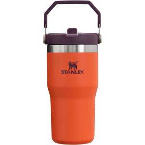Stanley IceFlow Flip Straw Tumbler with Handle 20 oz | Twist On Lid and Flip Up Straw | Leak Resistant Water Bottle | Insulated Stainless Steel |BPA-Free | Charcoal(Tigerlily Plum)
