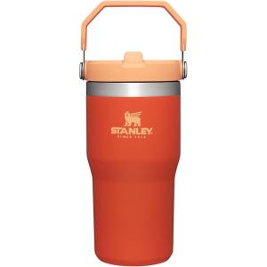Stanley IceFlow Flip Straw Tumbler with Handle 20 oz | Twist On Lid and Flip Up Straw | Leak Resistant Water Bottle | Insulated Stainless Steel |BPA-Free | Charcoal(Tigerlily)
