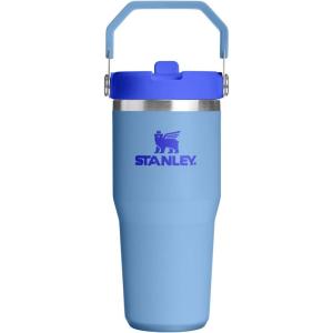 Stanley IceFlow Flip Straw Tumbler with Handle 20 oz | Twist On Lid and Flip Up Straw | Leak Resistant Water Bottle | Insulated Stainless Steel |BPA-Free | Charcoal(Blue Sky)