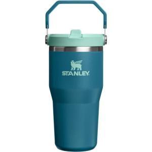 Stanley IceFlow Flip Straw Tumbler with Handle 20 oz | Twist On Lid and Flip Up Straw | Leak Resistant Water Bottle | Insulated Stainless Steel |BPA-Free | Charcoal(Coastal Teal)