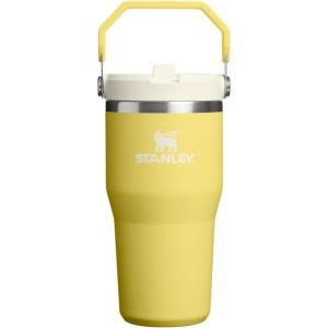 Stanley IceFlow Flip Straw Tumbler with Handle 20 oz | Twist On Lid and Flip Up Straw | Leak Resistant Water Bottle | Insulated Stainless Steel |BPA-Free | Charcoal(Daffodil)