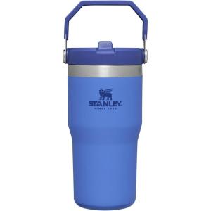 Stanley IceFlow Flip Straw Tumbler with Handle 20 oz | Twist On Lid and Flip Up Straw | Leak Resistant Water Bottle | Insulated Stainless Steel |BPA-Free | Charcoal(Iris)