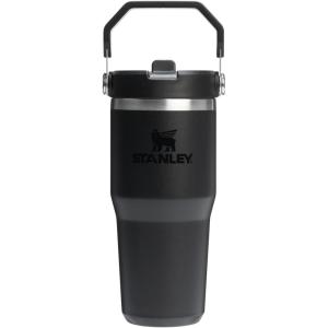 Stanley IceFlow Flip Straw Tumbler with Handle 20 oz | Twist On Lid and Flip Up Straw | Leak Resistant Water Bottle | Insulated Stainless Steel |BPA-Free | Charcoal(Black 2.0)