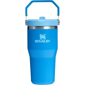 Stanley IceFlow Flip Straw Tumbler with Handle 20 oz | Twist On Lid and Flip Up Straw | Leak Resistant Water Bottle | Insulated Stainless Steel |BPA-Free | Charcoal(Azure)