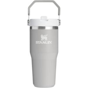 Stanley IceFlow Flip Straw Tumbler with Handle 20 oz | Twist On Lid and Flip Up Straw | Leak Resistant Water Bottle | Insulated Stainless Steel |BPA-Free | Charcoal(Ash)