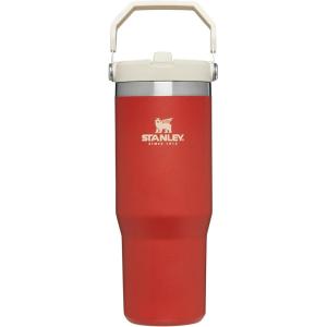 Stanley IceFlow Flip Straw Tumbler with Handle 20 oz | Twist On Lid and Flip Up Straw | Leak Resistant Water Bottle | Insulated Stainless Steel |BPA-Free | Charcoal(Carnelian)