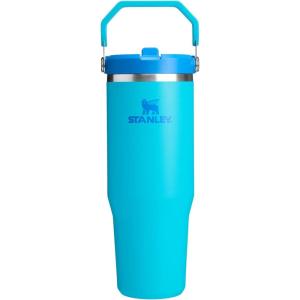 Stanley IceFlow Flip Straw Tumbler with Handle 20 oz | Twist On Lid and Flip Up Straw | Leak Resistant Water Bottle | Insulated Stainless Steel |BPA-Free | Charcoal(Splash)