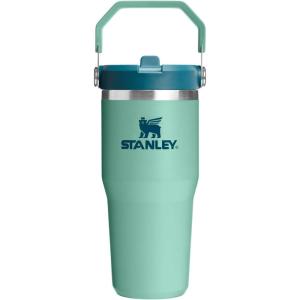 Stanley IceFlow Flip Straw Tumbler with Handle 20 oz | Twist On Lid and Flip Up Straw | Leak Resistant Water Bottle | Insulated Stainless Steel |BPA-Free | Charcoal(Spring Green)