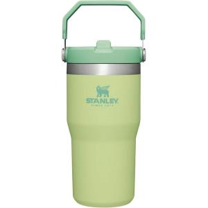 Stanley IceFlow Flip Straw Tumbler with Handle 20 oz | Twist On Lid and Flip Up Straw | Leak Resistant Water Bottle | Insulated Stainless Steel |BPA-Free | Charcoal(Citron)