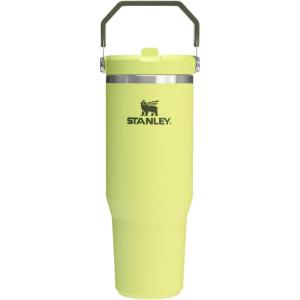 Stanley IceFlow Flip Straw Tumbler with Handle 20 oz | Twist On Lid and Flip Up Straw | Leak Resistant Water Bottle | Insulated Stainless Steel |BPA-Free | Charcoal(Prickly Pear)